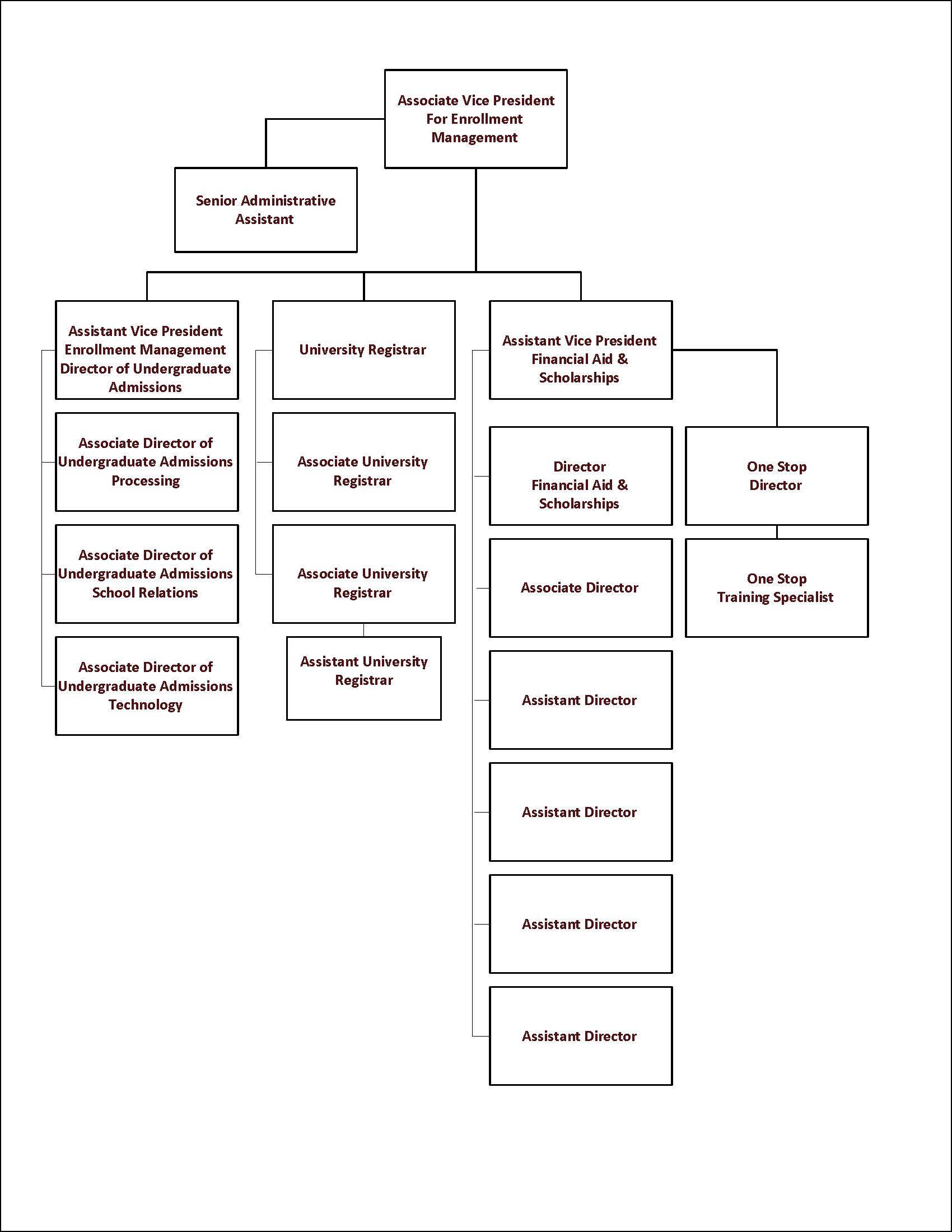 Organizational Chart Enrollment Management Texas State University